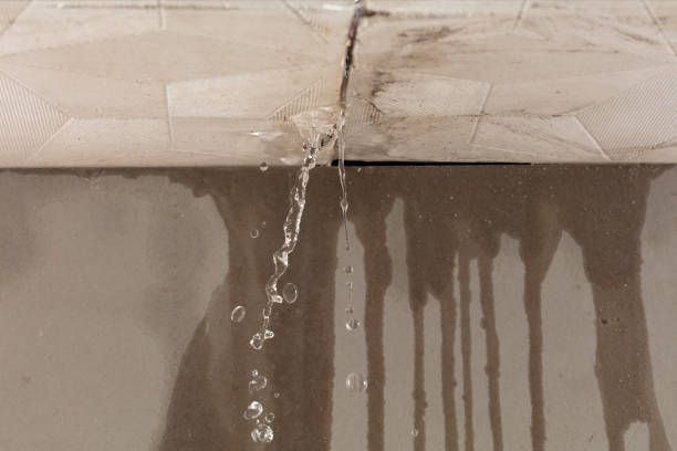 Professional Structural Drying technician working in Newhall, CA